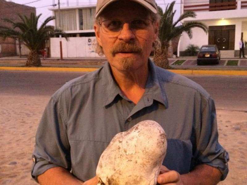 L. A. Marzulli holding the elongated skull