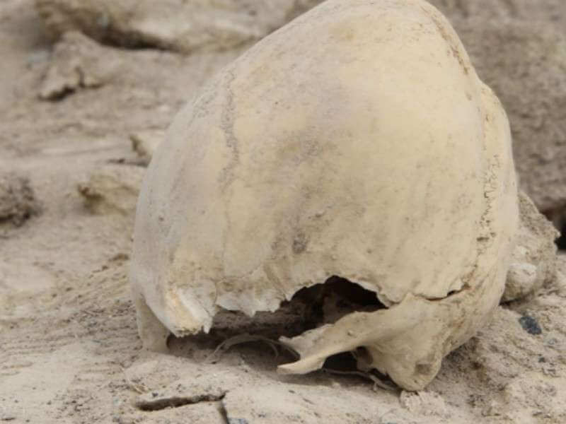 Elongated Skull at Camacho