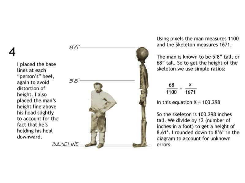 8 Foot Skeleton - Computer Height Comparison