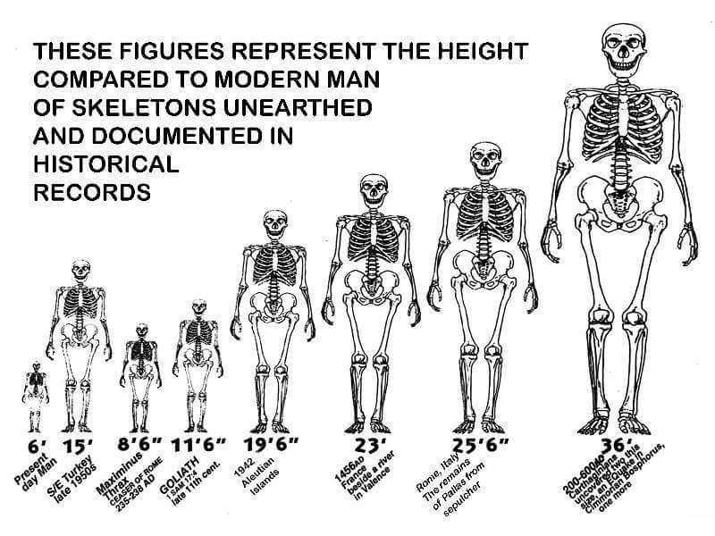 On the Trail of the Nephilim: Definitive Proof of the Biblical Giants ...