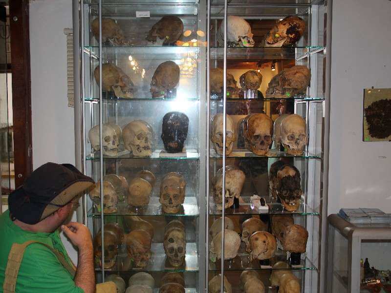 Judd with Paracas Skulls