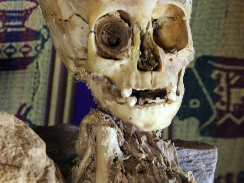 Wayqui Child - Elongated Skull