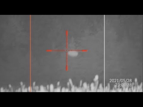 ORBS CAUGHT ON CAM!!