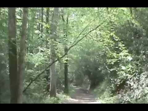 It Came Through The PORTAL!! CAM FOOTAGE OF NEPHILIM