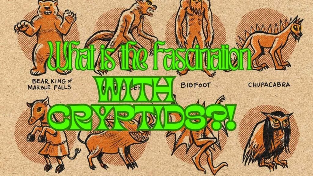 Pull up for precise seeking 2:41 0:01 / 13:21 What is the Fascination with Cryptids?